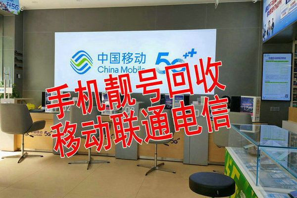 南阳网站推广