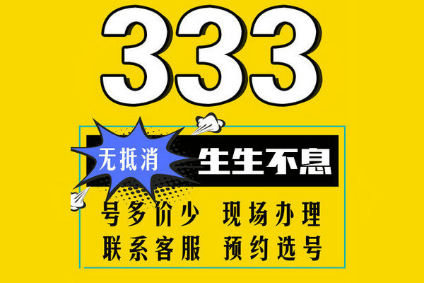 成武尾號333吉祥號