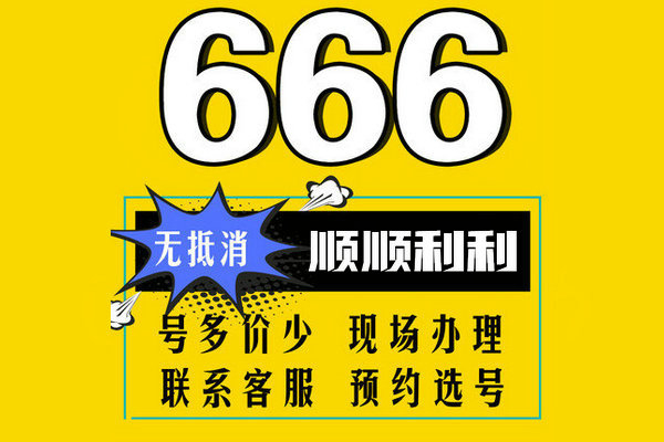 槐蔭666手機靚號